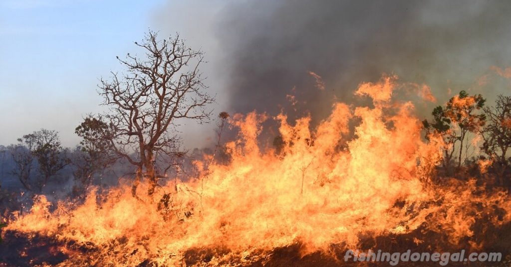 ไฟป่ากระทบ อุทยานแห่งชาติบราซิเลีย นักผจญเพลิงเร่งดับไฟป่าครั้งใหญ่ในเมืองหลวงของบราซิลเมื่อวันอังคาร ซึ่งกำลังประสบกับคลื่นความ
